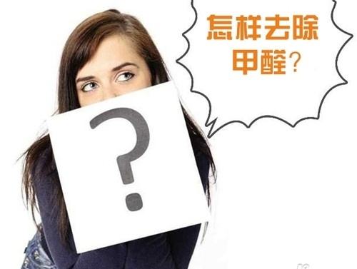 怎么去除油漆味
